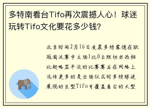 多特南看台Tifo再次震撼人心！球迷玩转Tifo文化要花多少钱？